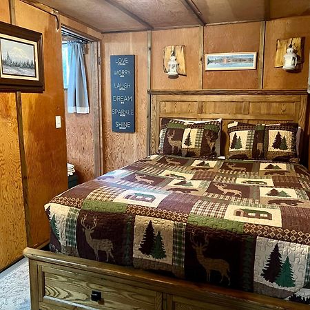 Mt Rainier Little Green Cabin On Big Creek! アッシュフォード エクステリア 写真