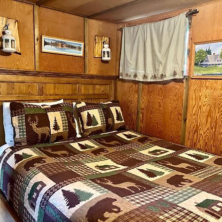 Mt Rainier Little Green Cabin On Big Creek! アッシュフォード エクステリア 写真