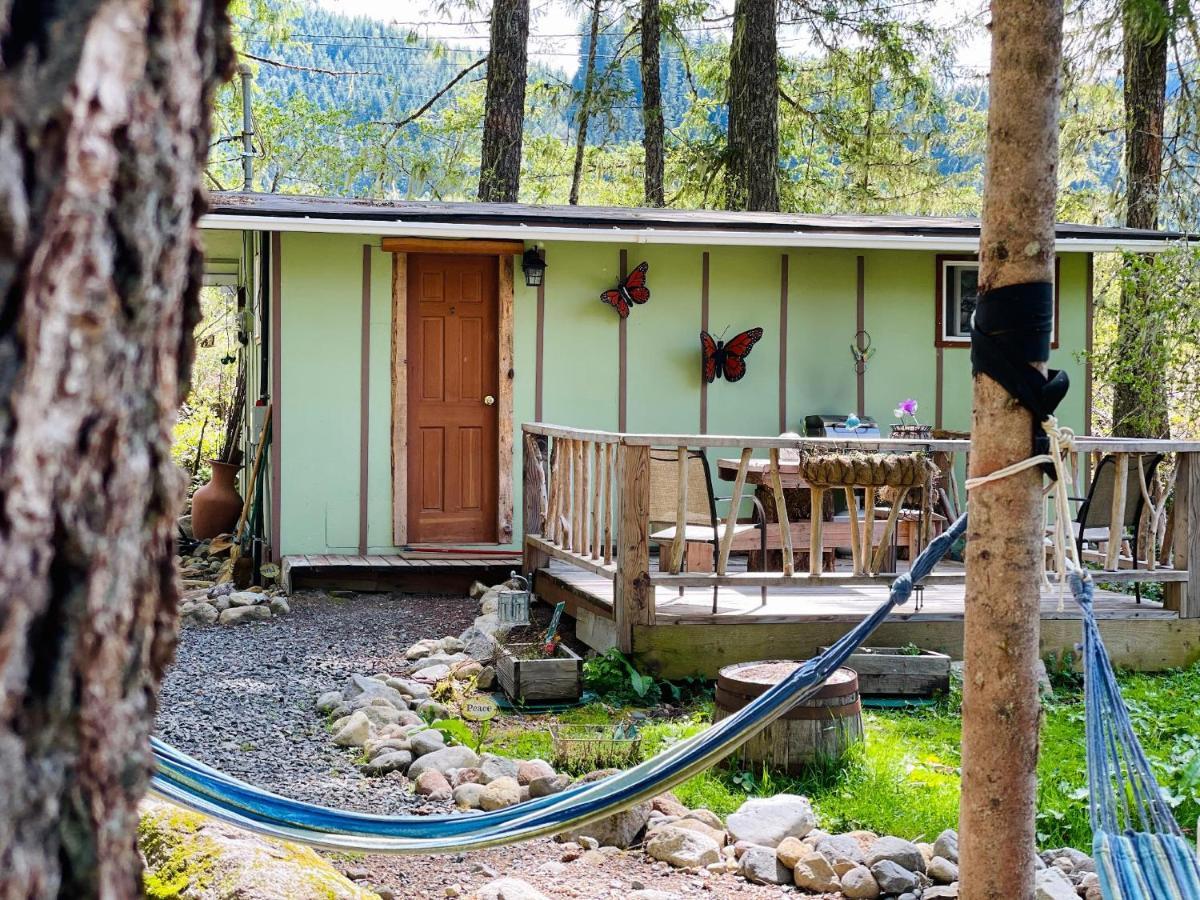 Mt Rainier Little Green Cabin On Big Creek! アッシュフォード エクステリア 写真