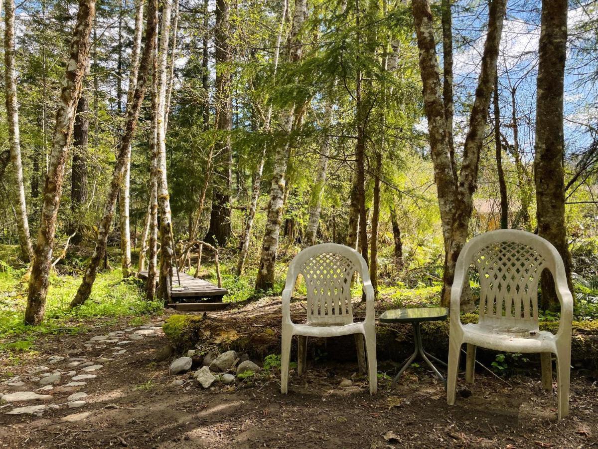 Mt Rainier Little Green Cabin On Big Creek! アッシュフォード エクステリア 写真