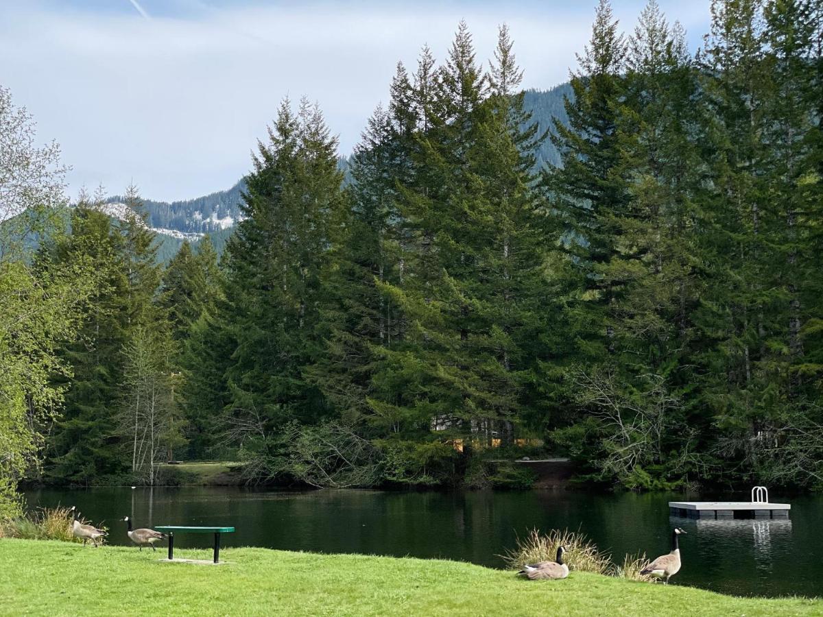 Mt Rainier Little Green Cabin On Big Creek! アッシュフォード エクステリア 写真