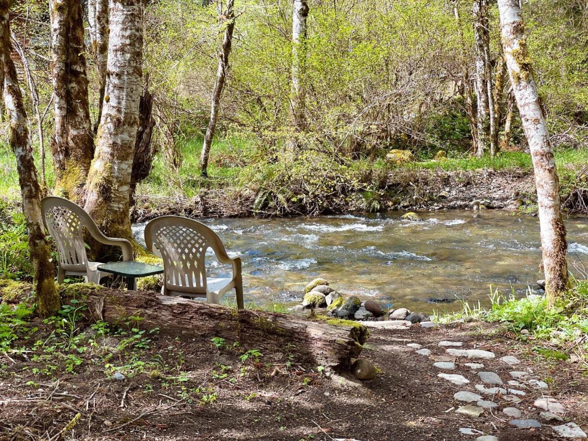 Mt Rainier Little Green Cabin On Big Creek! アッシュフォード エクステリア 写真
