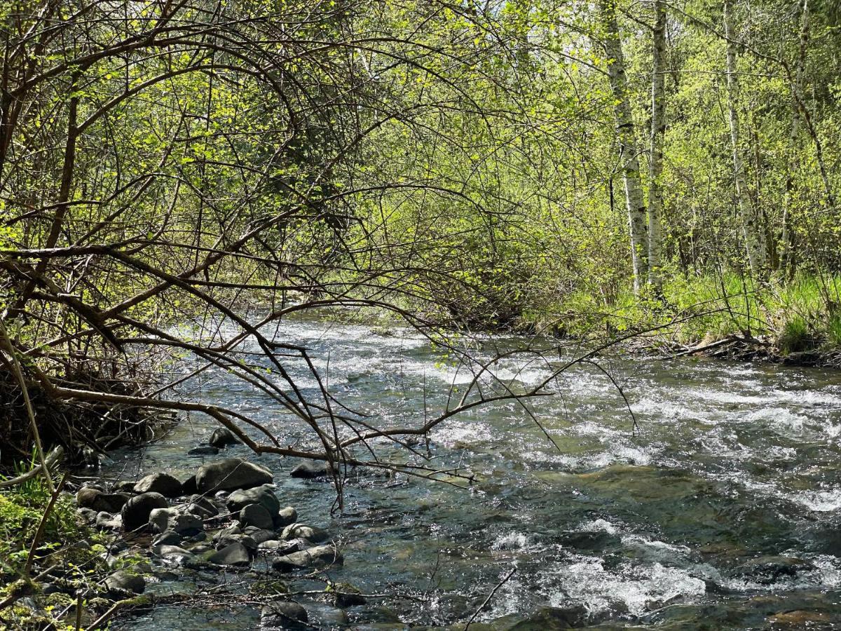 Mt Rainier Little Green Cabin On Big Creek! アッシュフォード エクステリア 写真