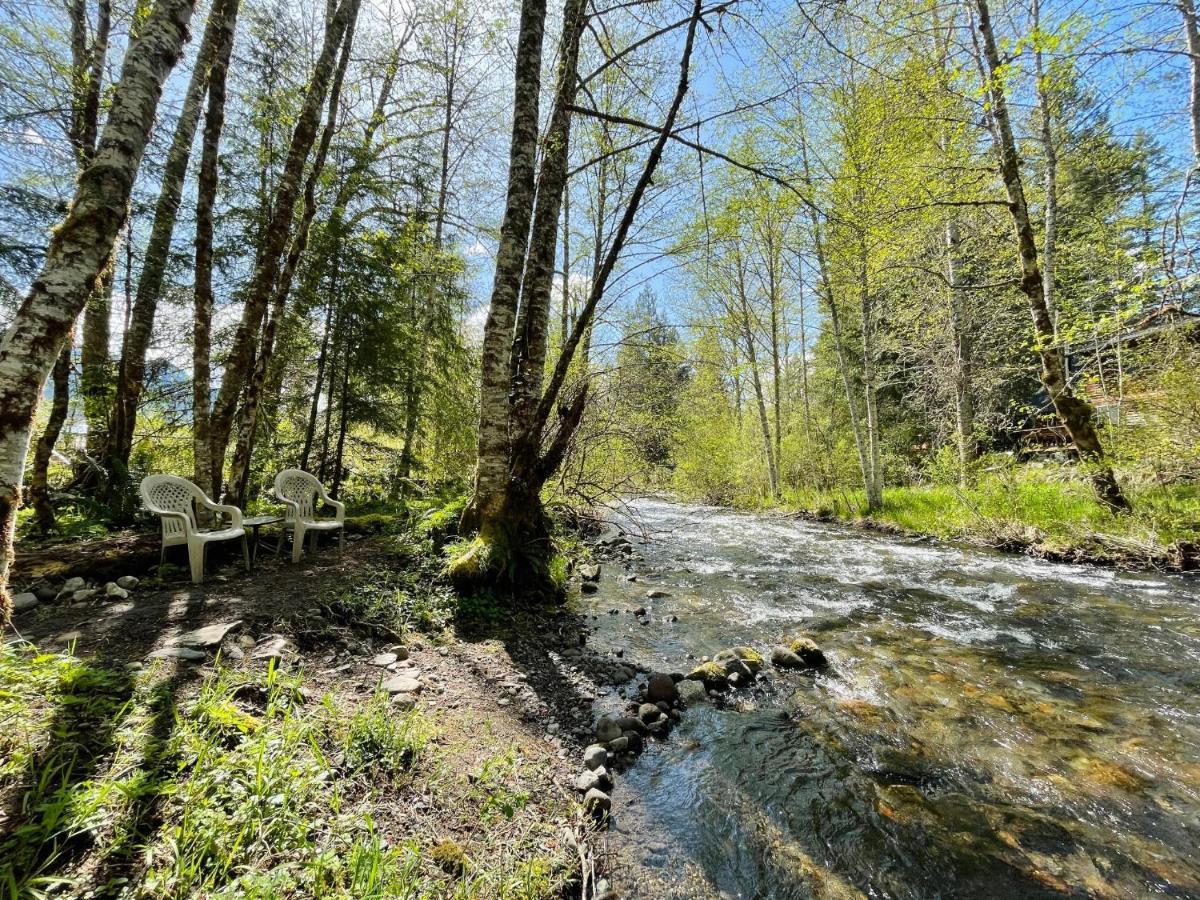 Mt Rainier Little Green Cabin On Big Creek! アッシュフォード エクステリア 写真