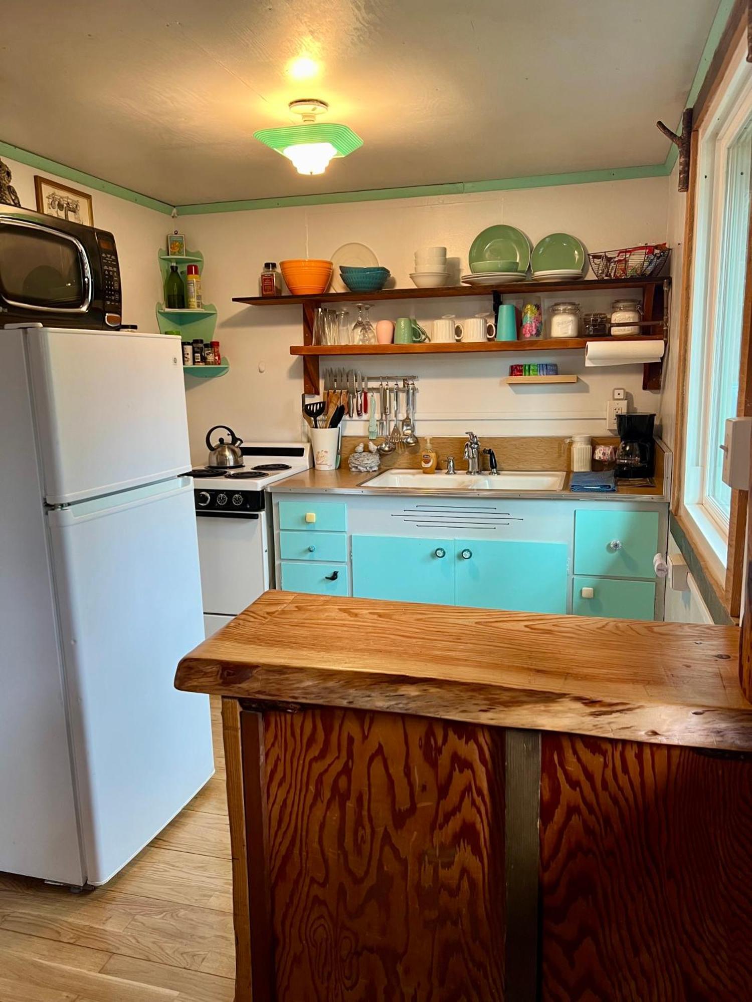 Mt Rainier Little Green Cabin On Big Creek! アッシュフォード エクステリア 写真