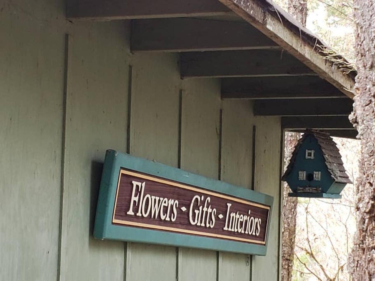 Mt Rainier Little Green Cabin On Big Creek! アッシュフォード エクステリア 写真